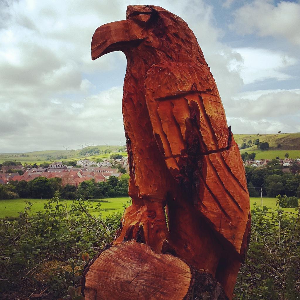 KBLovesBrie's tweet photo. Very windy walk in #Thurlstone #MillhouseGreen and #Penistone along the @TPT_National and found this handsome fella 🌳 http://t.co/oFapuvYjRF