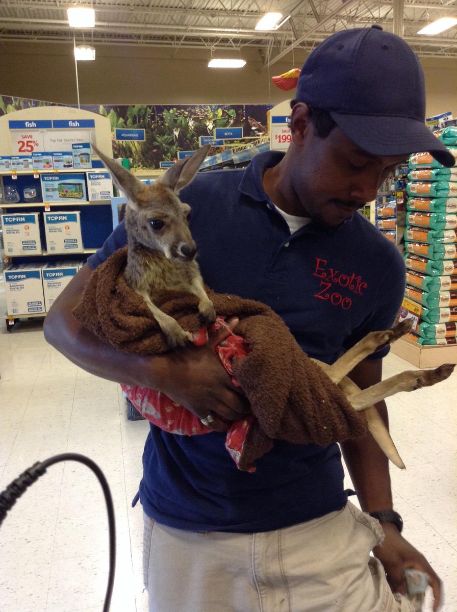 PetSmartUtica's tweet photo. Special visitor in Utica today! http://t.co/aVzNiImTwP