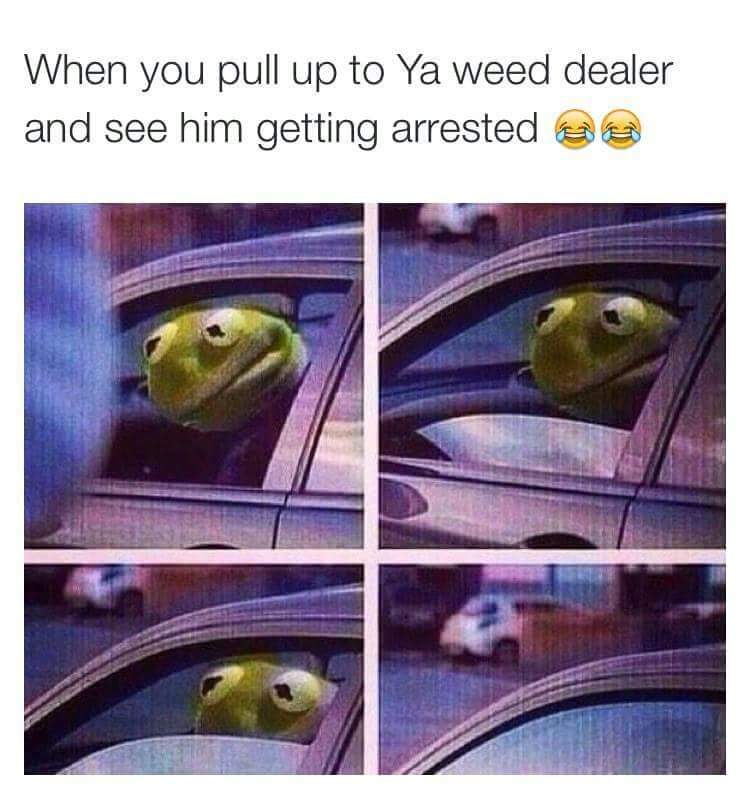 TRIPVCID's tweet image. 😮🚔😖 #isitthepolice #weedproblems