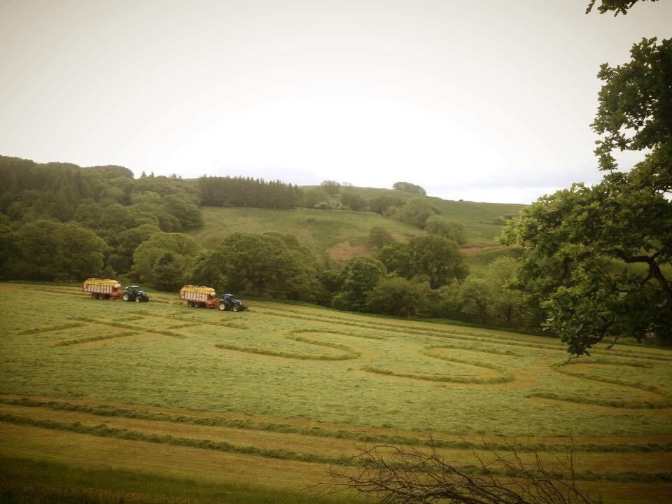 LaurieBrunskill's tweet photo. All farming aspects supporting @staystrongstu http://t.co/5kZYSY2ycY