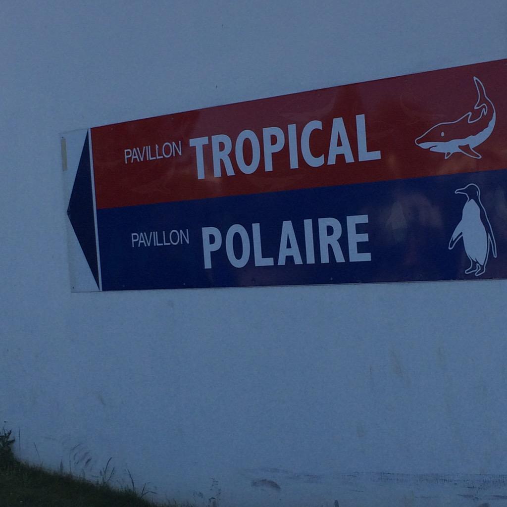 Julien Douady tweet media