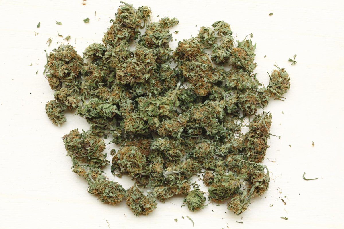 portlandmercury's tweet photo. Get your tix now for #Weedthepeoplepdx—a cannabis celebration and sampling event! https://t.co/JLf0VZTdSk http://t.co/8bWFJe0yKs