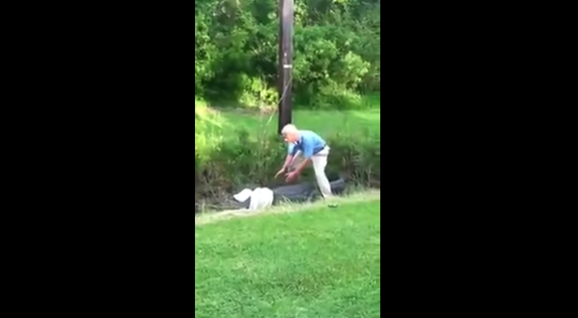 Deadspin's tweet photo. VIDEO: Gator mercifully chews idiot golfer's arm instead of devouring him. http://t.co/kNHILZ63QQ http://t.co/brUUGw8SqJ