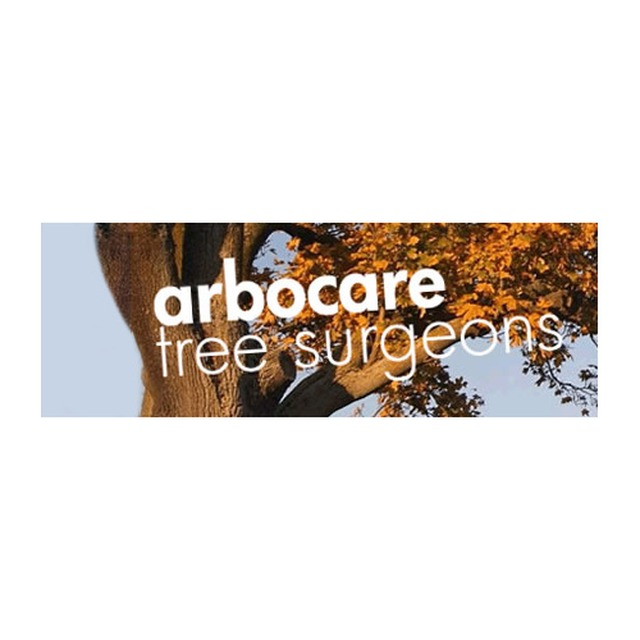 ArbocareTree_Su's tweet photo. http://t.co/MqqBcRNLAa