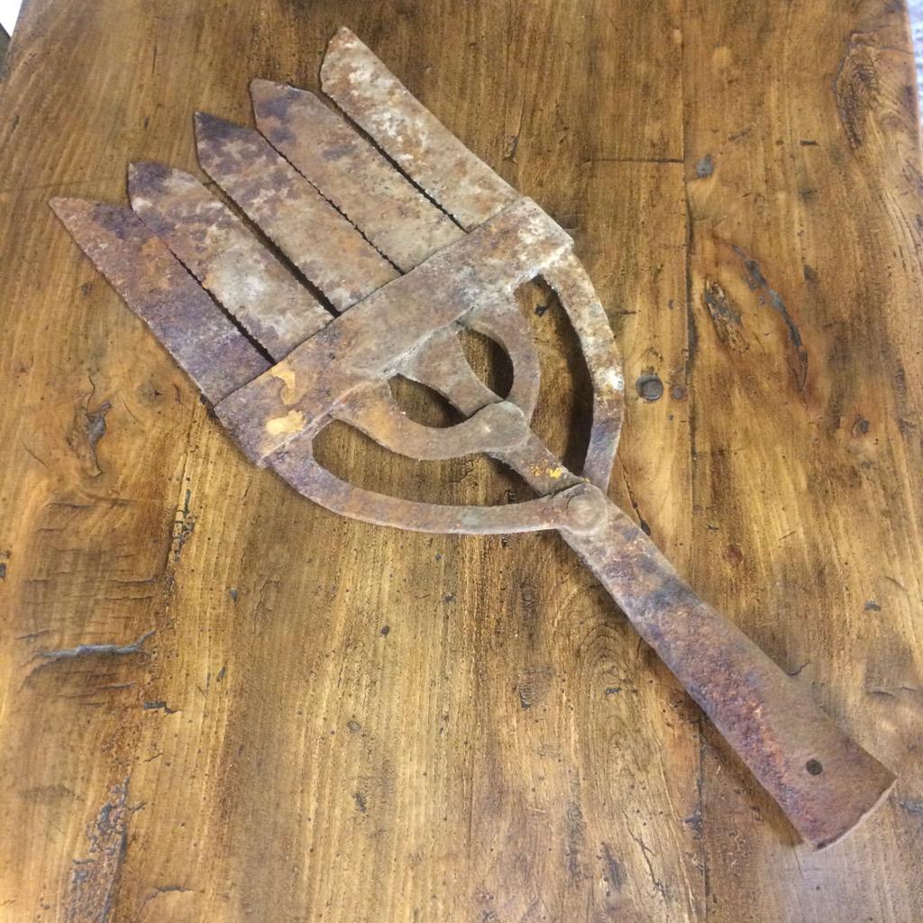 GlastoReclaim's tweet image. Eel spear. We haven&apos;t had one for about 10 years and now we&apos;ve had two come in in the last week. #eel #eelspear