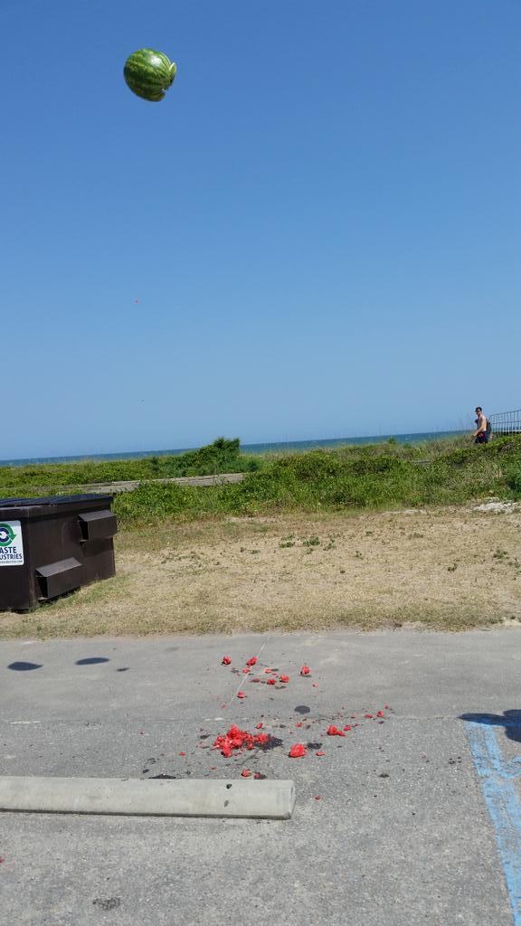 patmontgumgum's tweet photo. So we threw a watermelon today #SLMyrtle15 http://t.co/gfoTQDTgZO