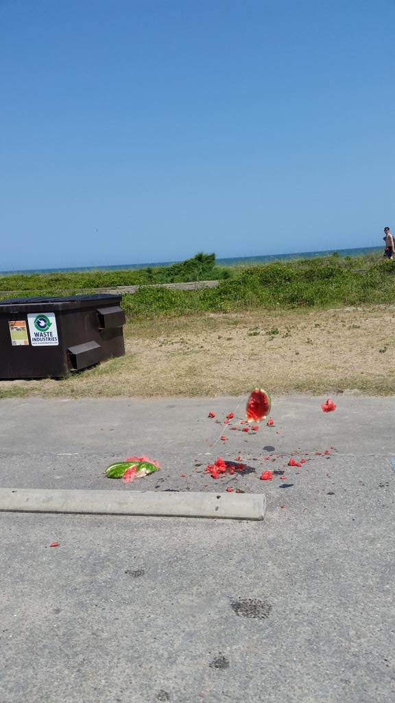 patmontgumgum's tweet photo. So we threw a watermelon today #SLMyrtle15 http://t.co/gfoTQDTgZO