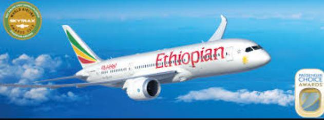 hafsatheruler's tweet photo. plane (expensive, quick, &amp; semi- scary) VS selam bus (cheap &amp; very scary). #whentraveling  #ethiopia http://t.co/ZaLaD2hvwb