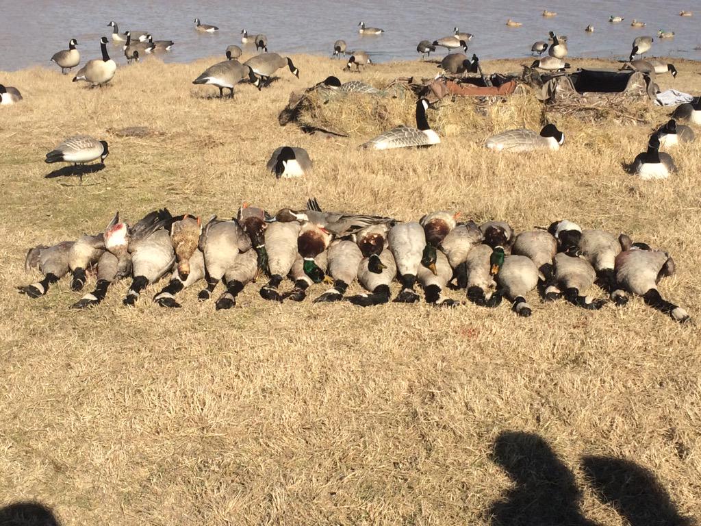 bandchaserz's tweet photo. A little throwback to a hunt last year, the season can't get here fast enough. http://t.co/06HIaLawjJ