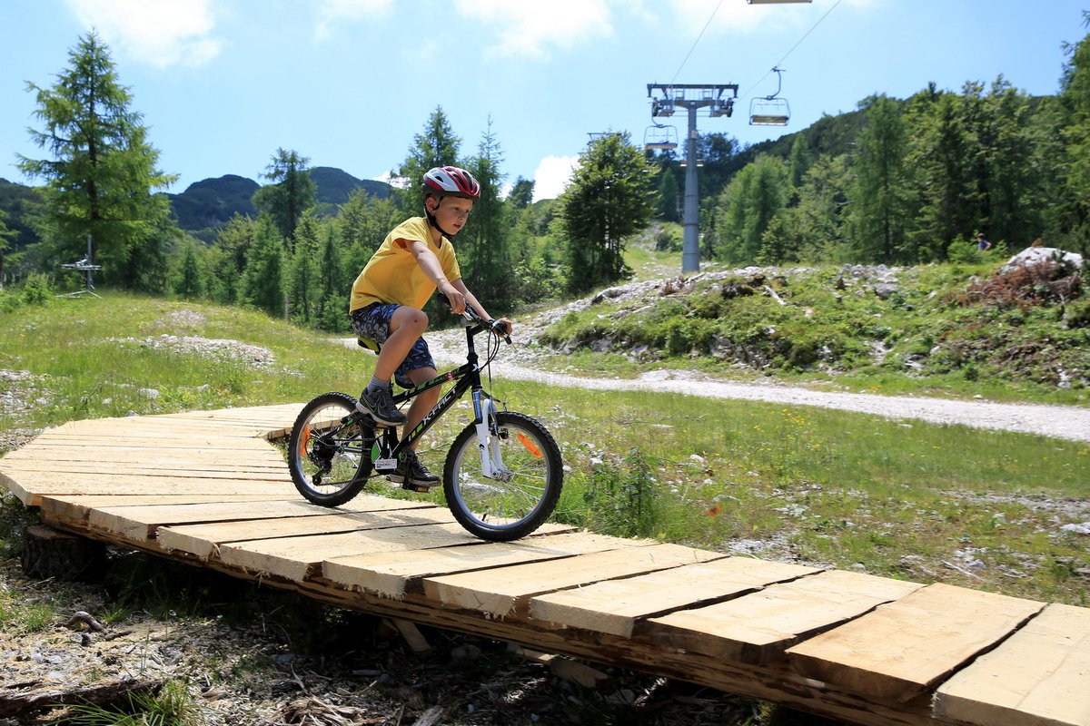 mini bike park