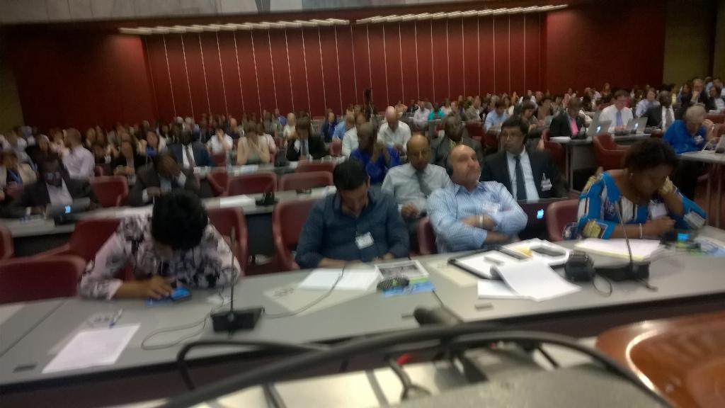 DPE17's tweet image. Concluding session of Annual consultations with NGOs.