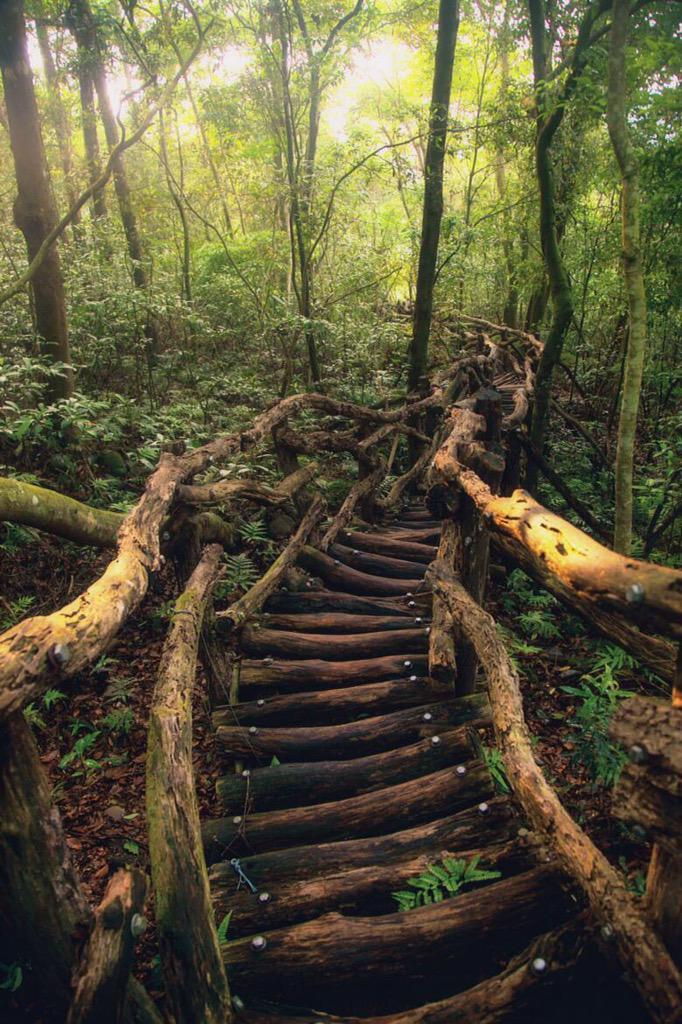 GoodVibeMachine's tweet image. Take the path less traveled