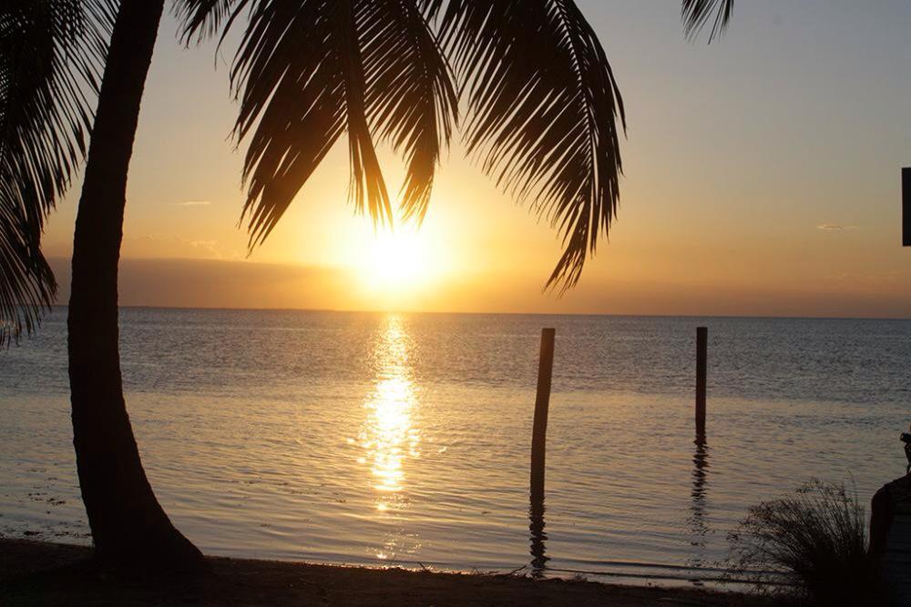 KnowledgeReefer's tweet image. Wya the tropics lol nah I wish I'm rolling a doob