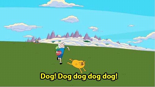 Dee for dog tweet media