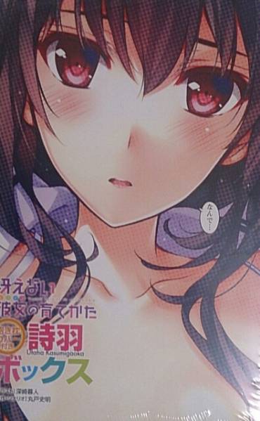 TrendAuctionJA's tweet photo. 冴えない彼女の育てかた 詩羽抱き枕カバー&CD コミケ88 Cradle 入札数=0 現在価格=14000円 http://t.co/llU2TFe5p5終了=2015年07月03日 23:05:12 #cmksp http://t.co/b51aYLKtd2