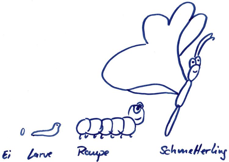 Raupe Zeichnen