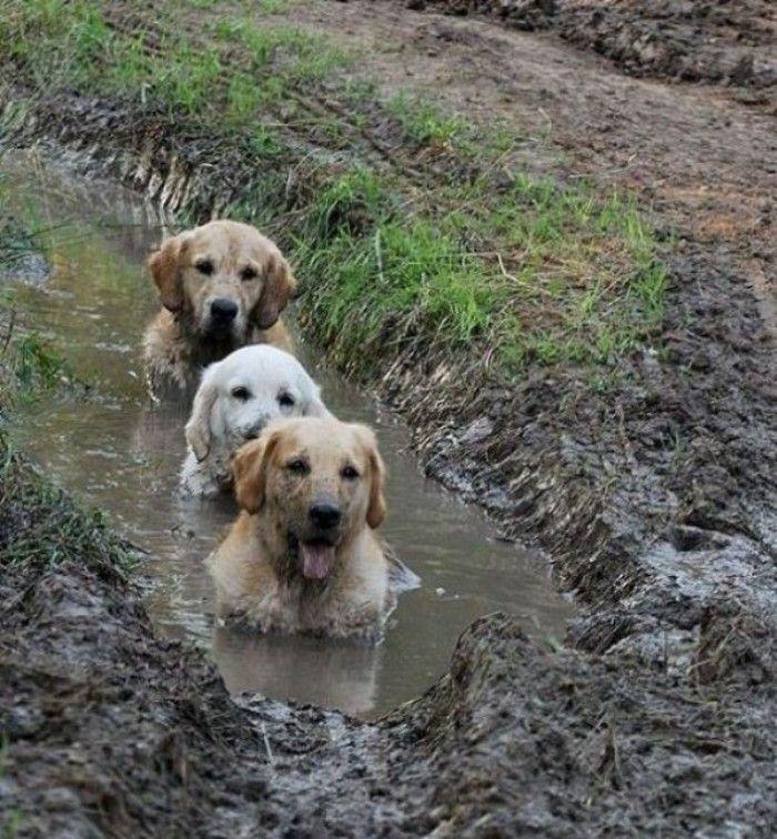 MichaelDAClarke's tweet image. Best Day Spa Ever!

#FridayFeeling