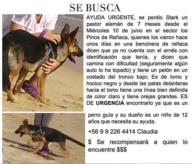 Club Patitas tweet media