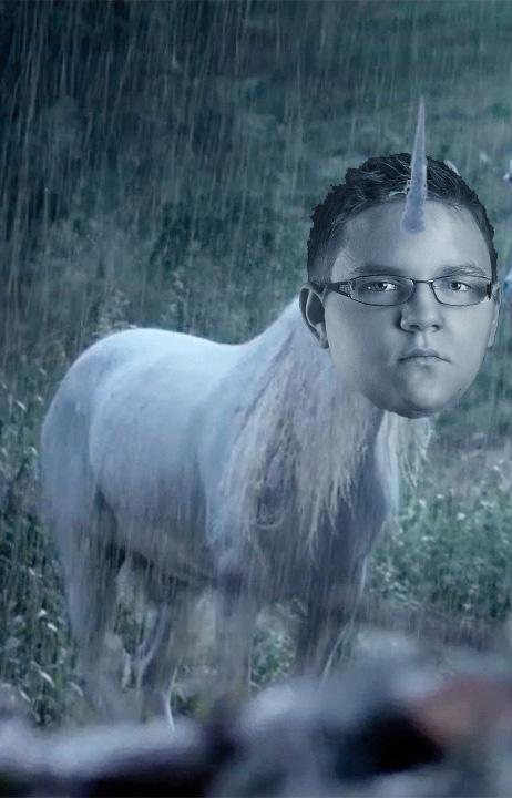 Ändi (@puten_schnitzel) | Twitter