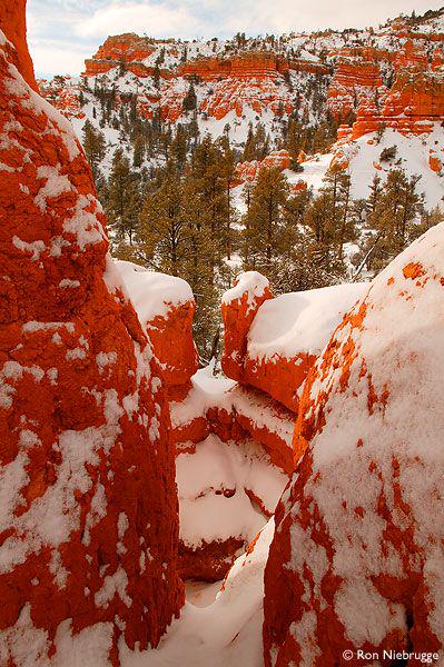 mathyaneya's tweet photo. Dixie National Forest, Utah, #USA 

https://t.co/DBzdH155RO http://t.co/tjjd8E5ttR