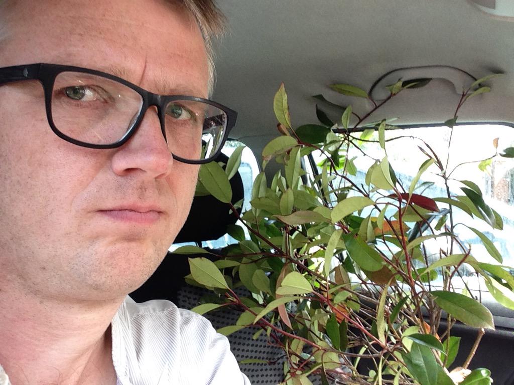 TrevorDonnelly's tweet photo. I'm in the car with a tree... 
(A "Prayer Tree" for tomorrow's Quaggy Carnival!!) http://t.co/CsTGVoc9j3