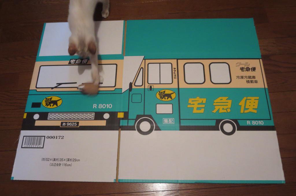 クロネコヤマトの段ボール ねこ 最強説 画像集 Togetter クロネコヤマトの段ボール ねこ 最強説 画像集 Togetter