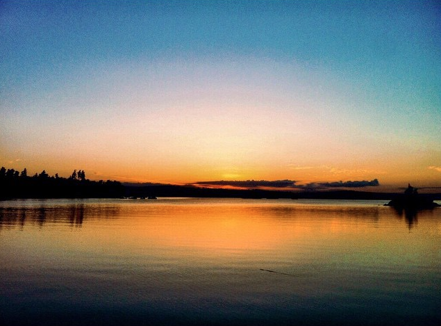 robinpackalen tweet picture