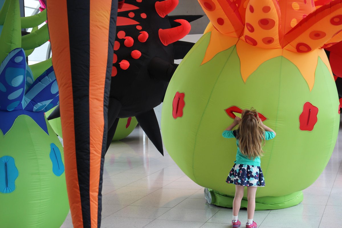 GalleryOldham's tweet photo. Our new exhibition 'Botanical Invasions' is made for touching! #handsonexhibitions #lookandtouch #free http://t.co/hC5GyR8L3M
