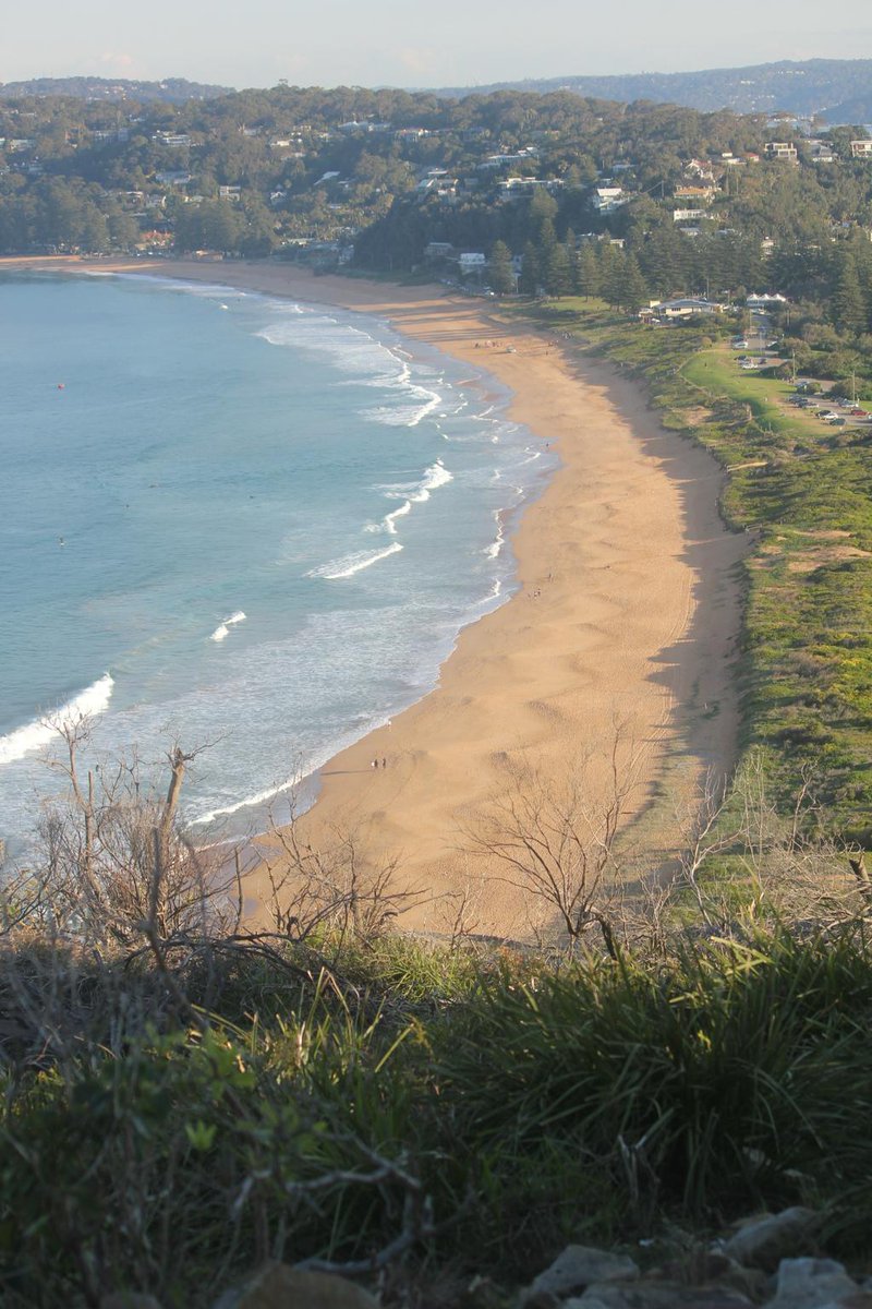 davejem's tweet image. Giant sea monster came ashore at Palm Beach today, slithered length of sand and went back into water.  #SandPattern