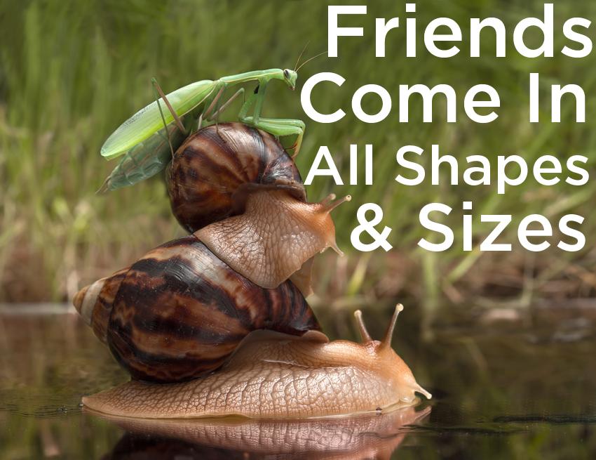 #friends come in all shapes and sizes
