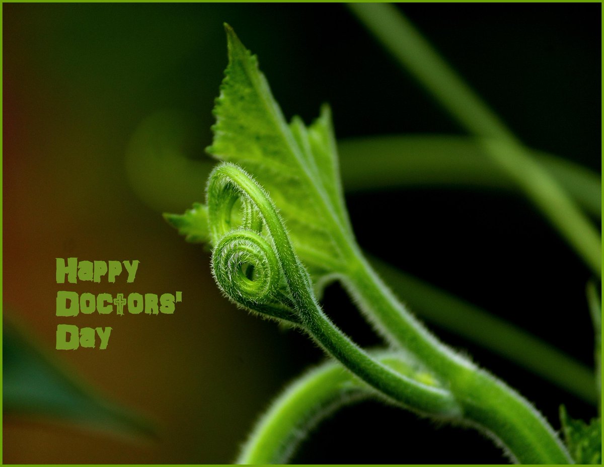 Happy Doctors' Day to all my colleagues in the profession who work day and night to save millions of lives worldwide.