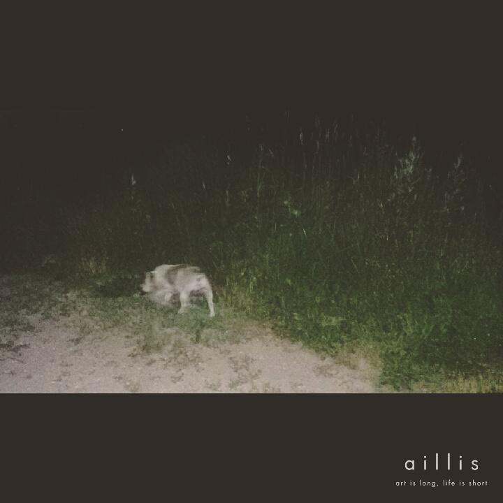Night, dog and I #night#walking#dog