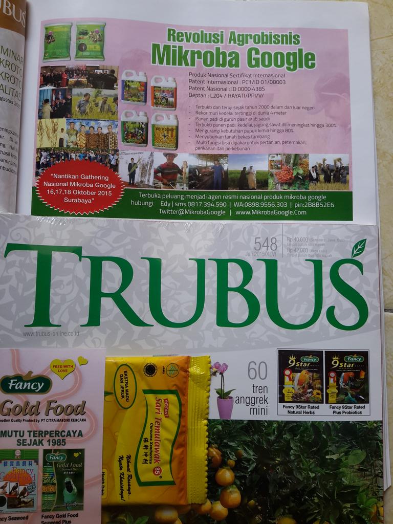 JualBioP2000Z's tweet photo. Jual pupuk bioP 2000 Z di balikpapanHubungi edy 081.333.59.4444 Pin:2B8B52E6 http://t.co/TTrxh7ikau