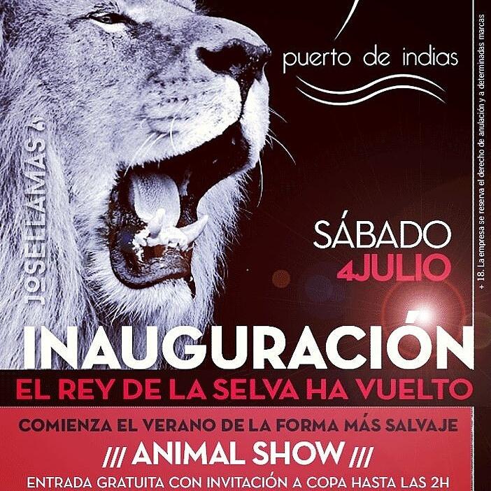 Puerto de Indias tweet media