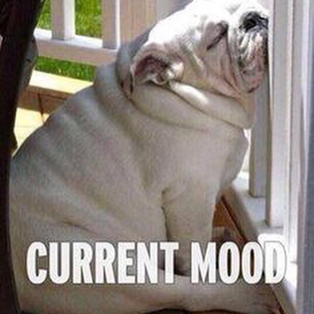 Spybey_S's tweet photo. #dayoff #jobscanwait http://t.co/o36Mxug5SR
