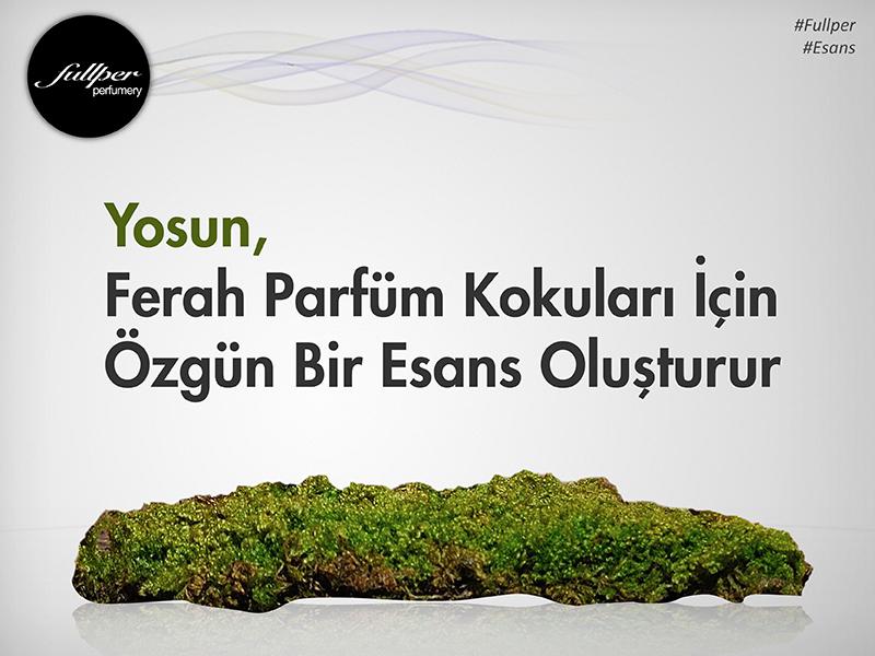 fullperperfume's tweet photo. Yosun, ferah parfüm kokuları için özgün bir esans oluşturur. 
#Fullper #esans #yosun http://t.co/Rs4vofWCxL