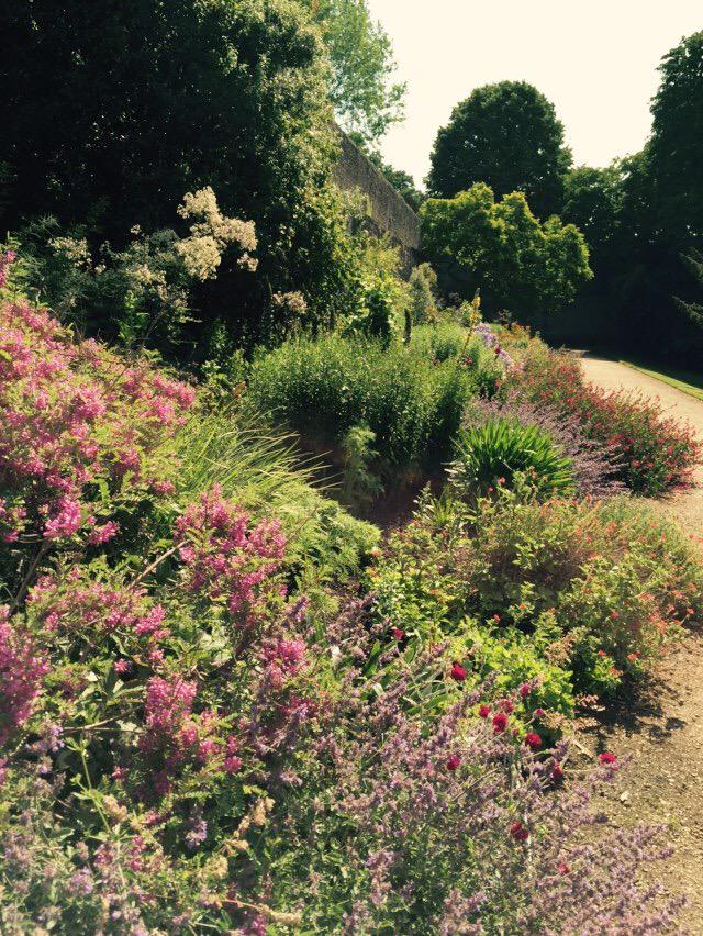 OuterspaceGc's tweet image. The #health of your #irrigation system is key in periods like this.
Make sure it functions properly!
#horticulture