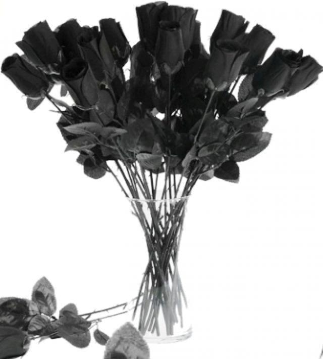 Lara Smith (@easycures) on Twitter photo 