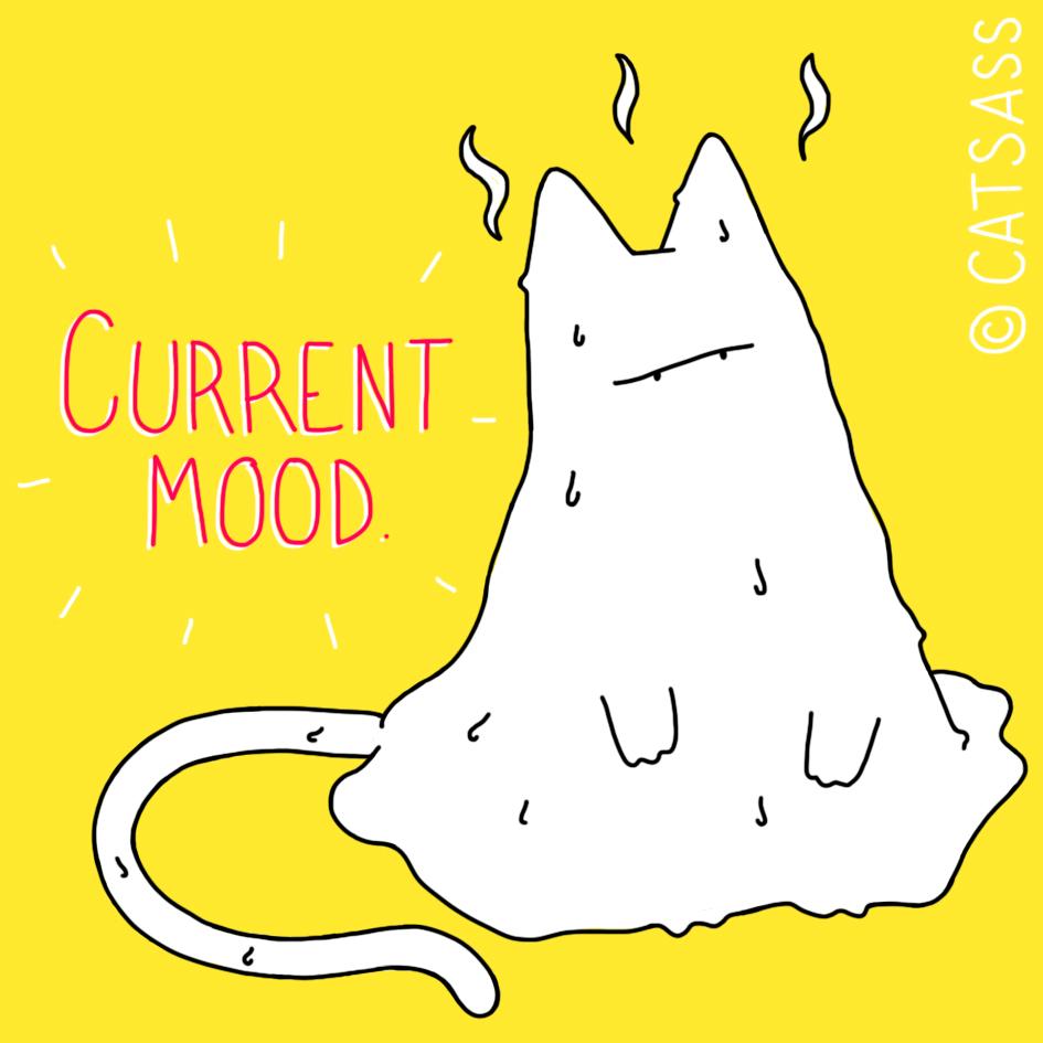 Sunny with a chance of melting.
#melt #hot #summer #cat #meow