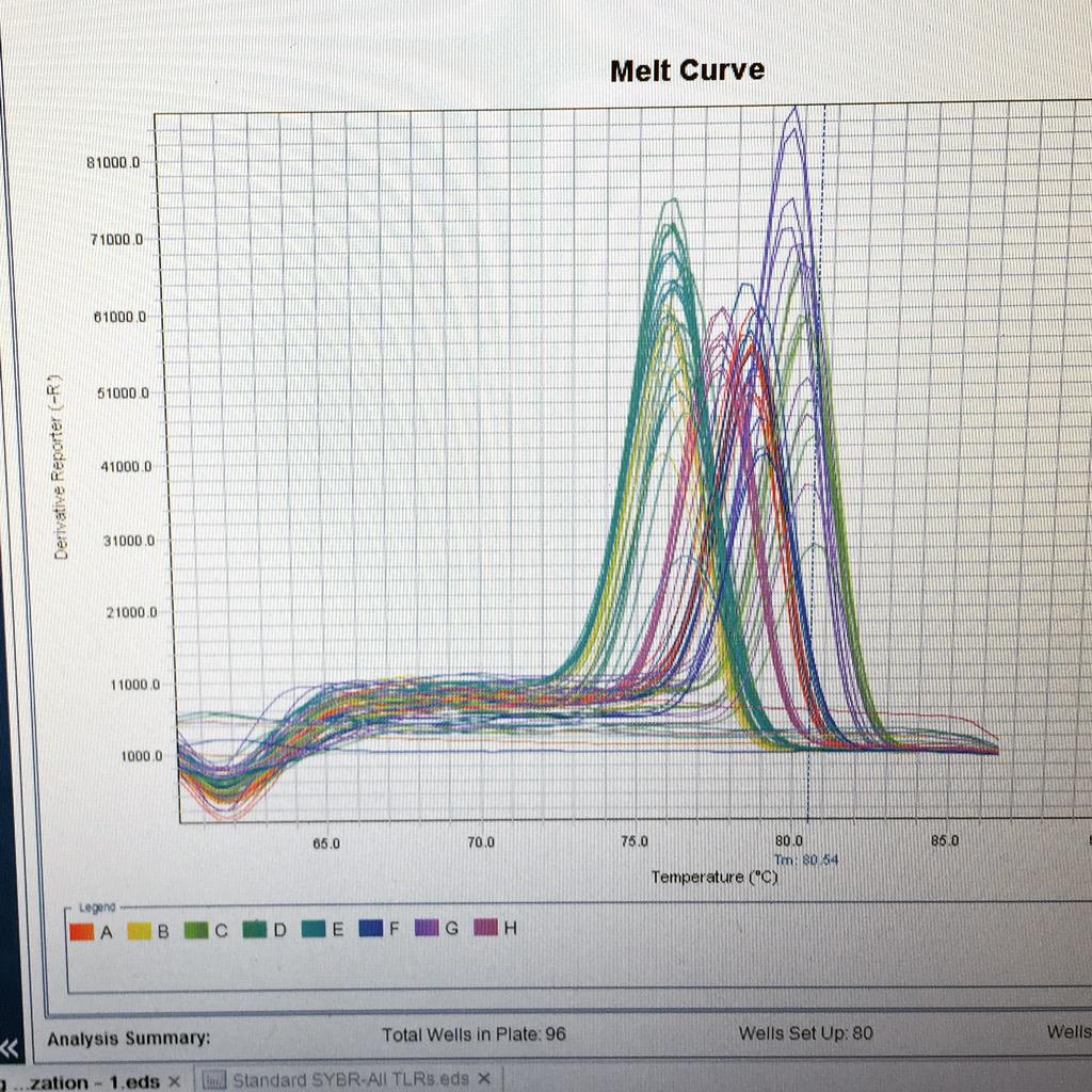 addictivebrain's tweet photo. Nice and sharp melt curve for all my samples. Happy happy. #qpcr #molbio #phdchat #helpaphd #postdoclife http://t.co/wqe8eEm1Cy