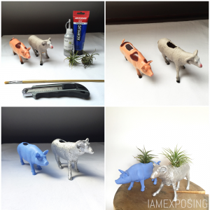 DIY: Beestachtige Plantjes iamexposing.nl/2015/07/diy-be…