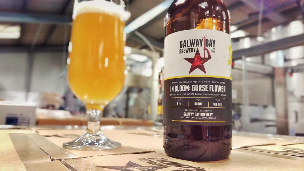 CI0wtvZWcAAgkuB.jpg:large