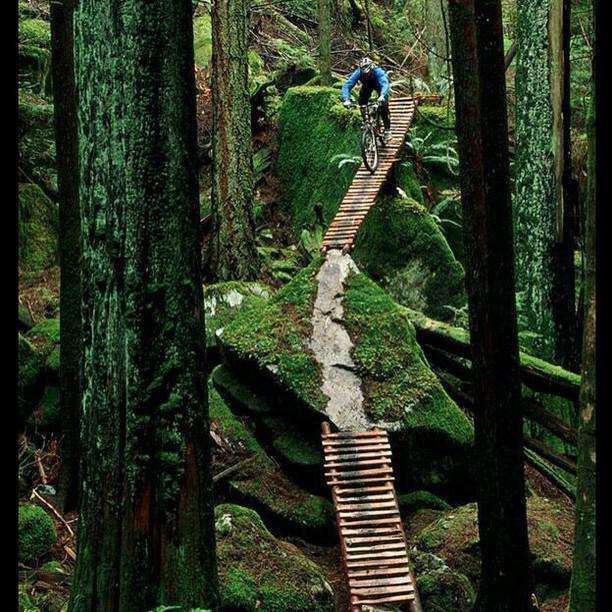 #mtb #bike #mountainbiking #bridges #downhill #singletrack #mountain #forrest #biking #bic… ift.tt/1Hq2lN5