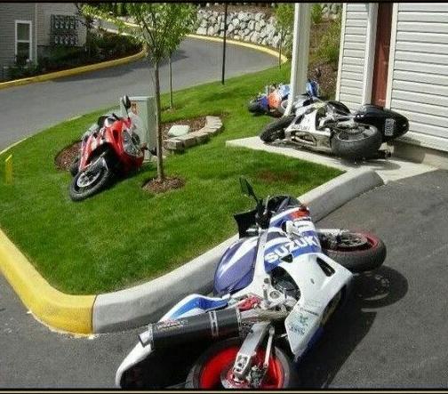 Giribot's tweet image. #Moto
N'oubliez pas de les faire boire
De les mettre à l'ombre...

#canicule