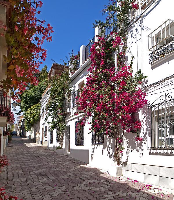 MarbellaPics's tweet photo. Marbella streets ❤️ http://t.co/BvZbMr71e5