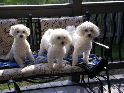 Shop4_Charity's tweet image. July Super Shopper Story vytm.in/QCpwFw