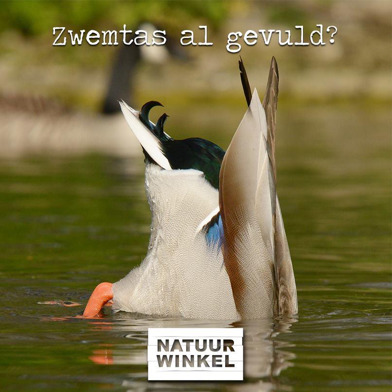 Natuurwinkel (@nwmaastricht) on Twitter photo 