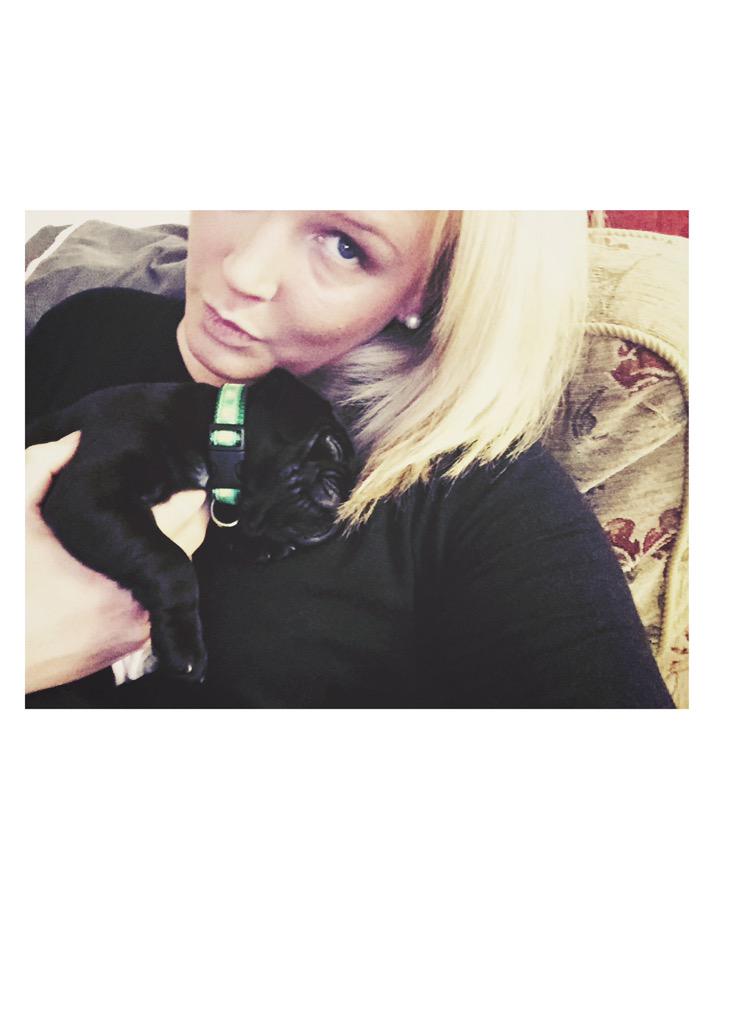 TRobbertze's tweet photo. Totally in love 🐶💕 #pugs #InLove http://t.co/fgXyj49HUM
