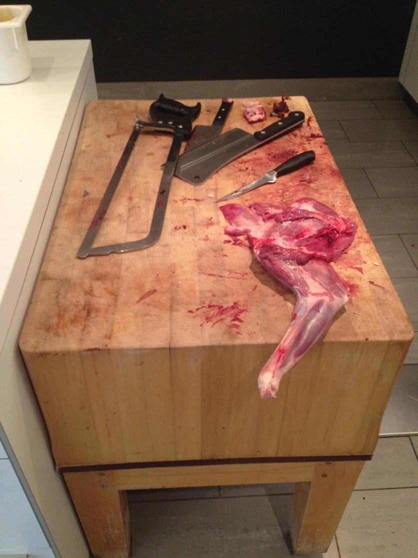 Eerste dag opnames werken met wild bij de Echoput.