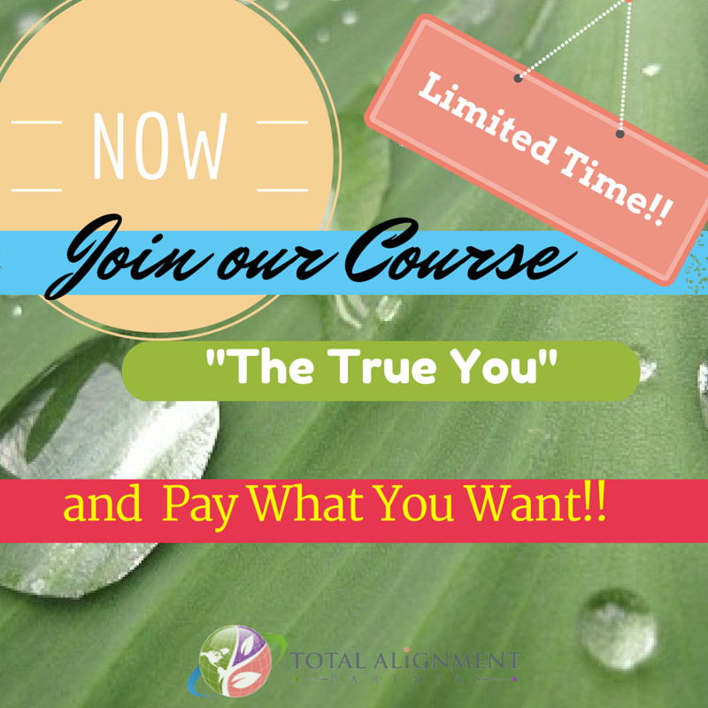 total_alignment's tweet image. A powerful course to TAP into your own energy. For a limited time only, PAY WHAT YOU WANT! buff.ly/1SLwokr